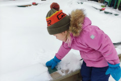 IMG_20260112_100750