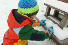 IMG_20260112_101131