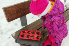 IMG_20260112_110050