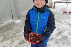 IMG_20260112_110143
