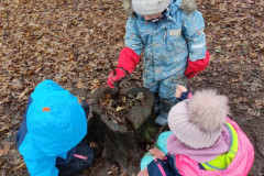 IMG_20260115_103810