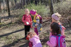 IMG_20250404_104829