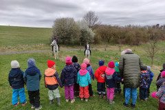 IMG_20250407_101144