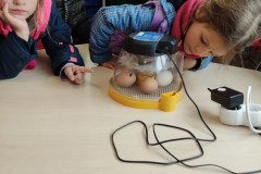 IMG_20250407_110738