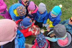 IMG_20250408_101313