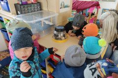 IMG_20250409_110355