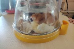 IMG_20250409_110956