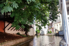 IMG_20260602_101557