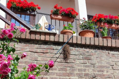 IMG_20260602_102313