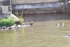IMG_20260602_102901