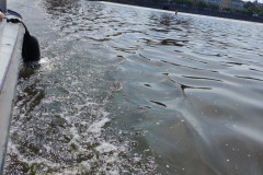 IMG_20260602_103327