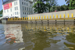 IMG_20260602_103559