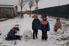 IMG-20250216-WA0009