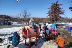 IMG_20250219_112406