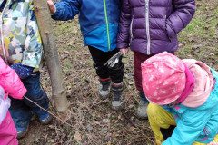IMG_20250225_104101