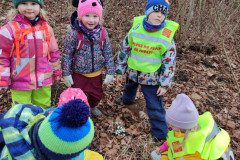 IMG_20250226_104106