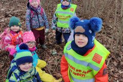 IMG_20250226_104114