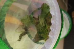 IMG_20210909_085744