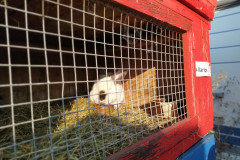 IMG_20210910_082154