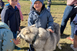 Motýlci a Mravenečci - Husky v pohybu