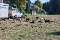 IMG_20260923_100323