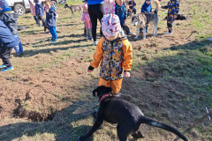 IMG_20260923_103553