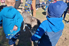 IMG_20260923_103612