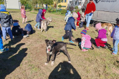IMG_20260923_103624