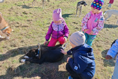 IMG_20260923_103639