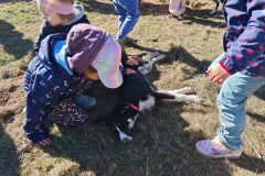 IMG_20260923_103647