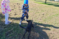 IMG_20260923_103705