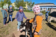 IMG_20260923_103712