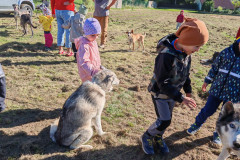 IMG_20260923_103716