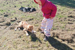 IMG_20260923_103808