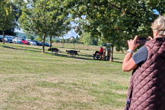 IMG_20260923_111241