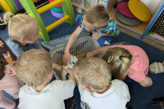 PXL_20260512_090336152