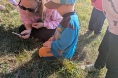PXL_20261001_081641759