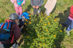 PXL_20261001_081722031