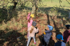 PXL_20261001_083112945