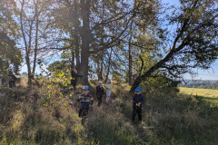 PXL_20261001_083325373