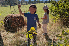 PXL_20261001_085124087