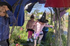 PXL_20250428_074905457