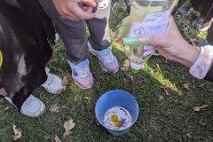 PXL_20250428_075733903