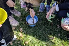 PXL_20250428_075850608