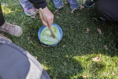 PXL_20250428_075905065