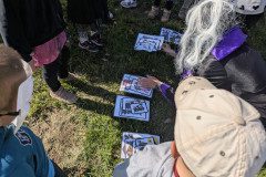 PXL_20250428_080555342