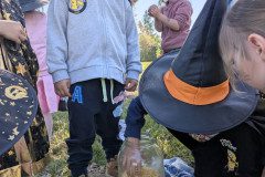 PXL_20250428_081148133