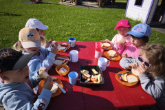 IMG_20260519_084522