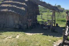 IMG_9935