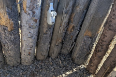 PXL_20260526_074530681